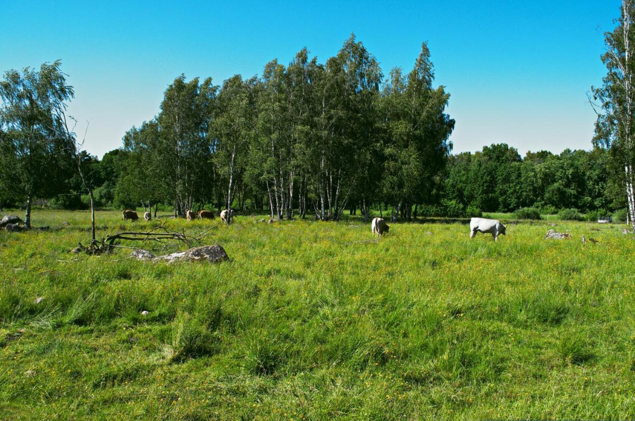 Gaeststugan スカーラ エクステリア 写真