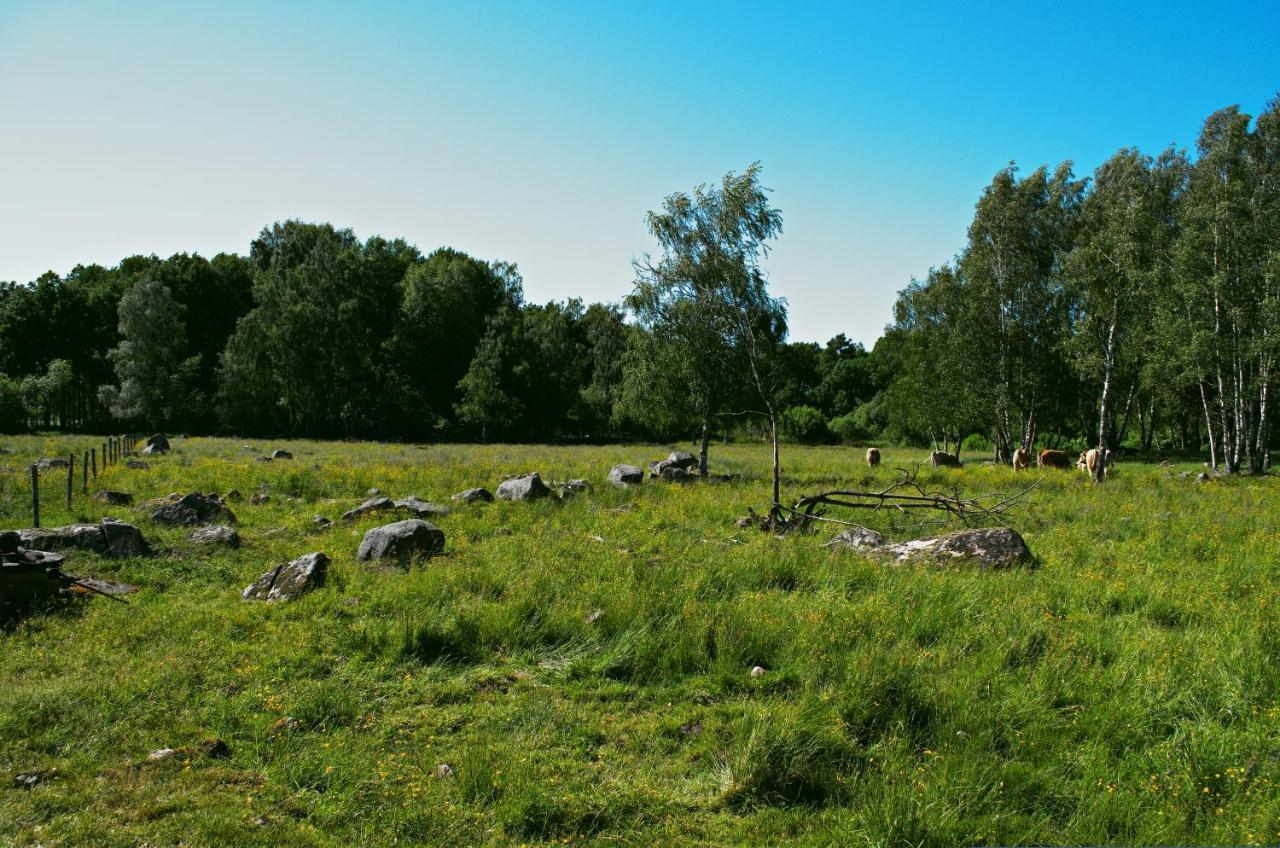 Gaeststugan スカーラ エクステリア 写真